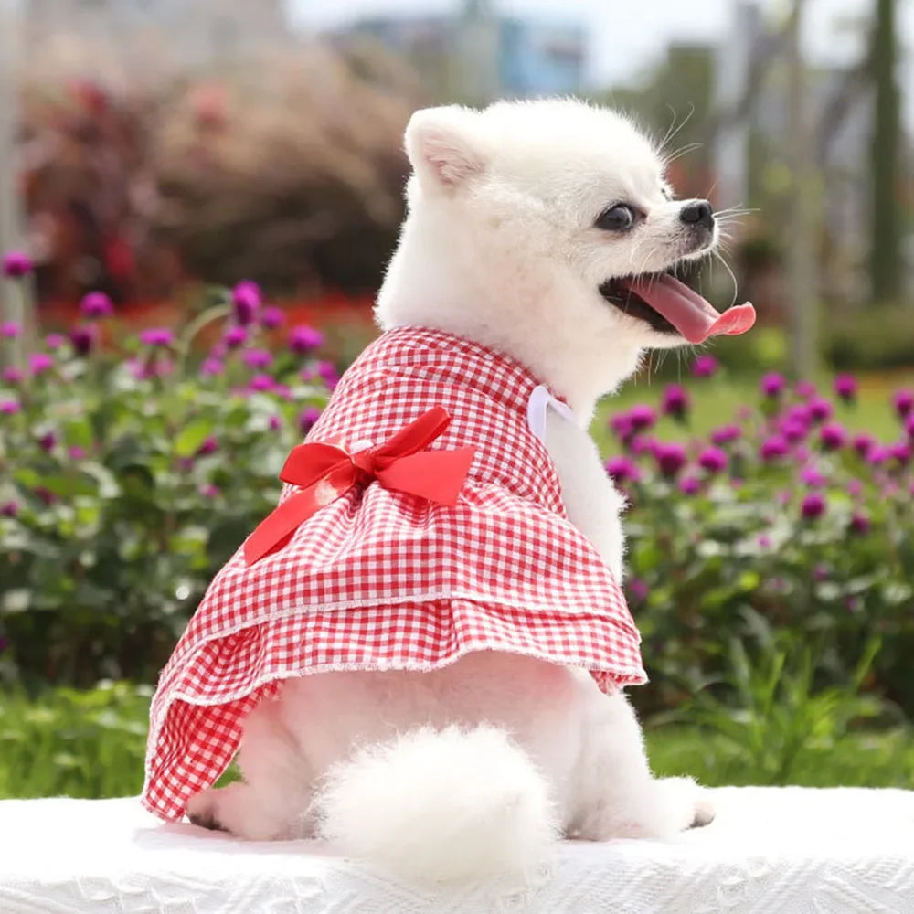 Dog Dresses for Small Dogs Cats Summer Princess Tutu Skirt