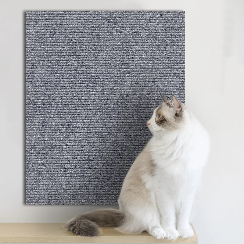 Wall Self-Adhesive Anti Cat Scratch Protection