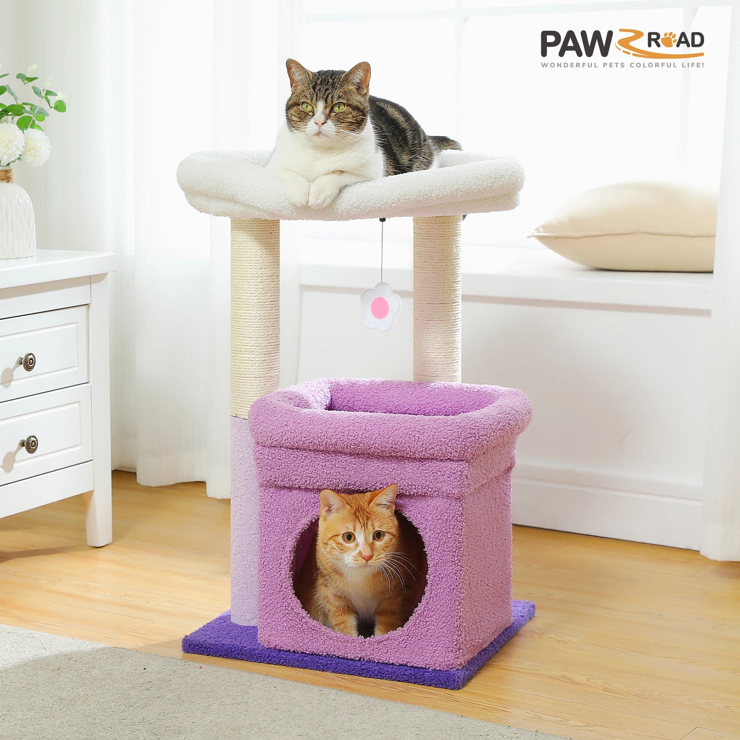 H68cm Small Cat Tree Condo