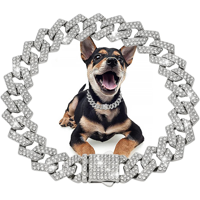 Diamond Dog Chain Collar