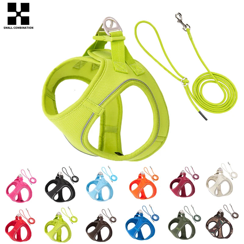 Dog and Cat Harness Leash