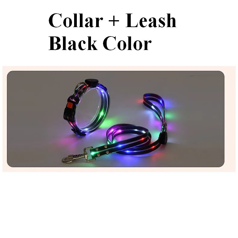 Pet Dog LED Light UP Leash USB Rechargeable