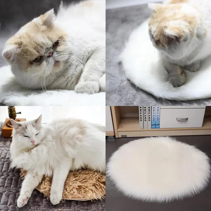 USB Pet Electric Blanket