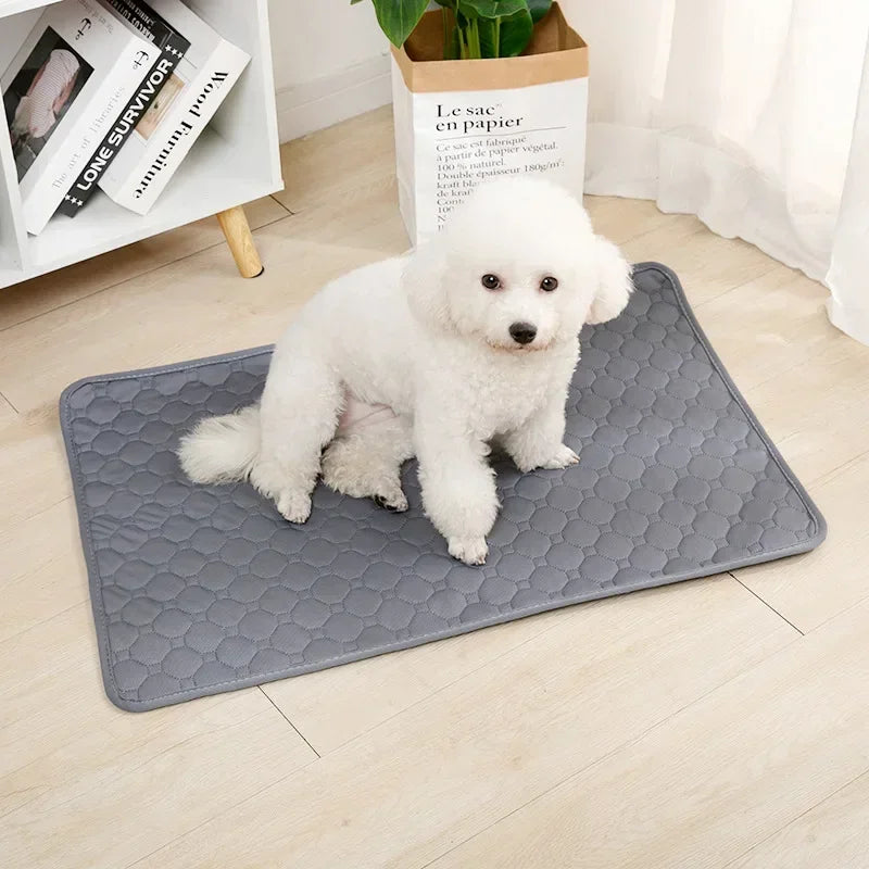 Reusable Dog Pee Pad Blanket