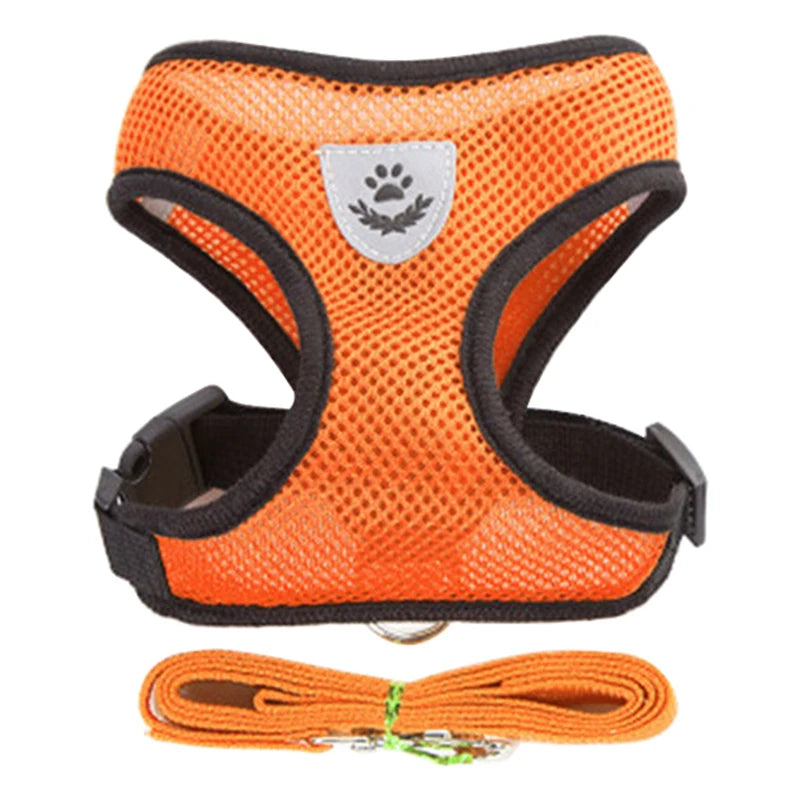 Dog Harness for Small Dogs and Cats