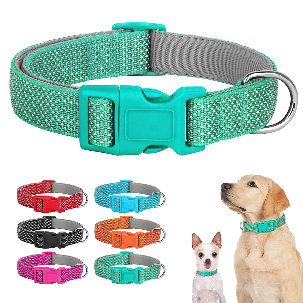 Reflective Nylon Dog Collar