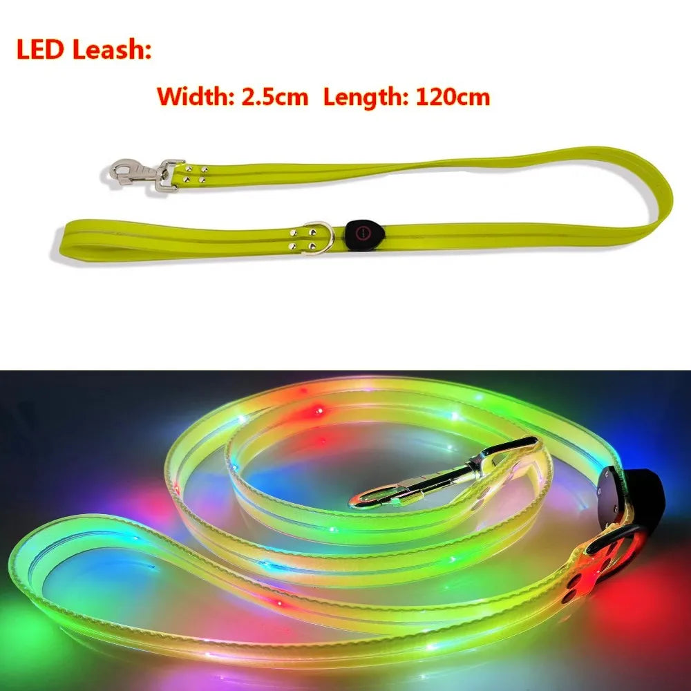 Pet Dog LED Light UP Leash USB Rechargeable