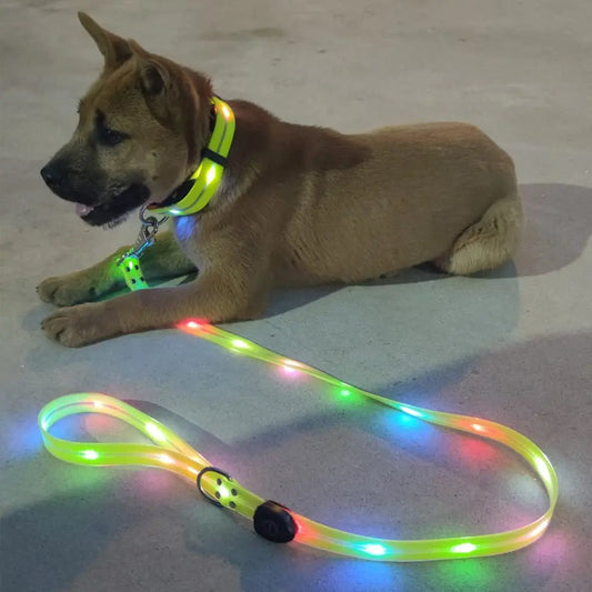 Pet Dog LED Light UP Leash USB Rechargeable