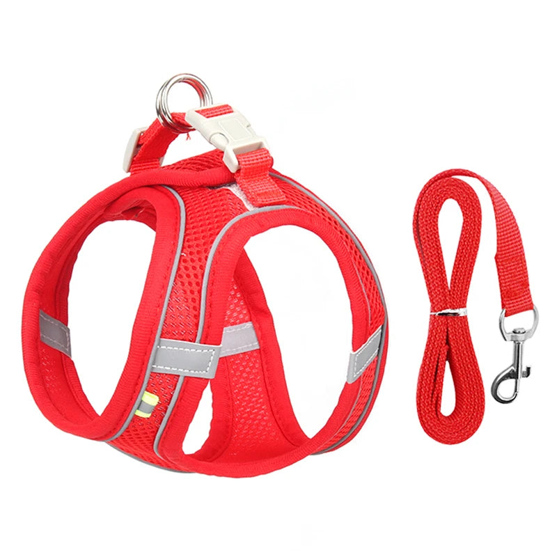 Dog Harness Leash Set for Small Dogs and Cats