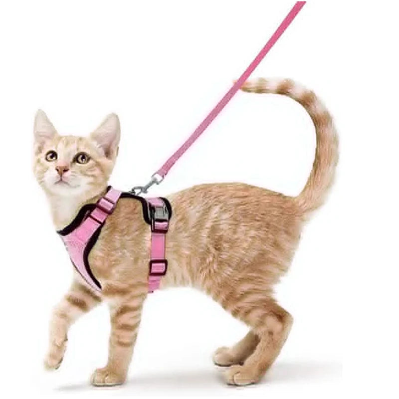 Cat Harness and Leash for Walking