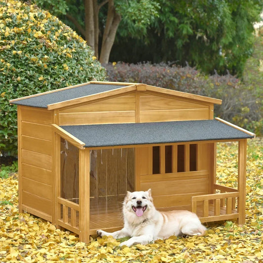 Dog House Outdoor