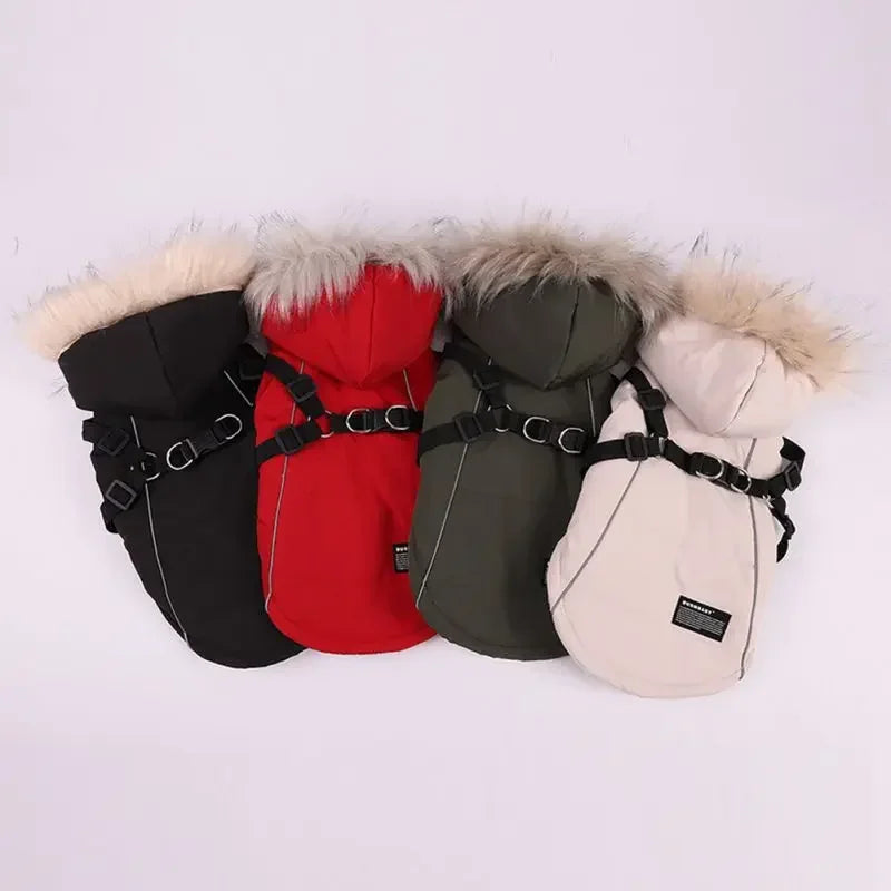 Winter Pet Dog Jacket With Harness