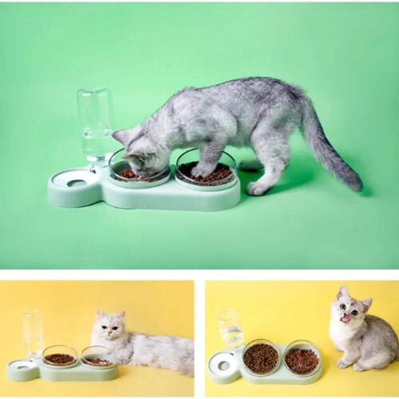 3 in 1 pet cat bowl automatic feeder and water dispenser