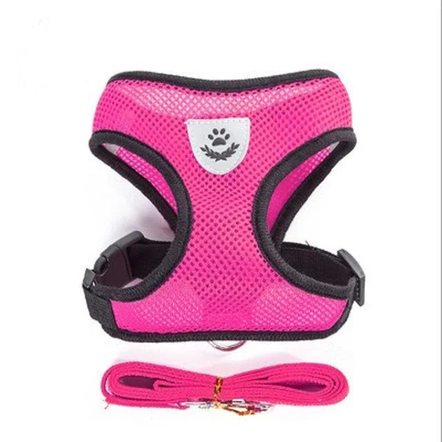 Cat Dog Harness with Lead Leash