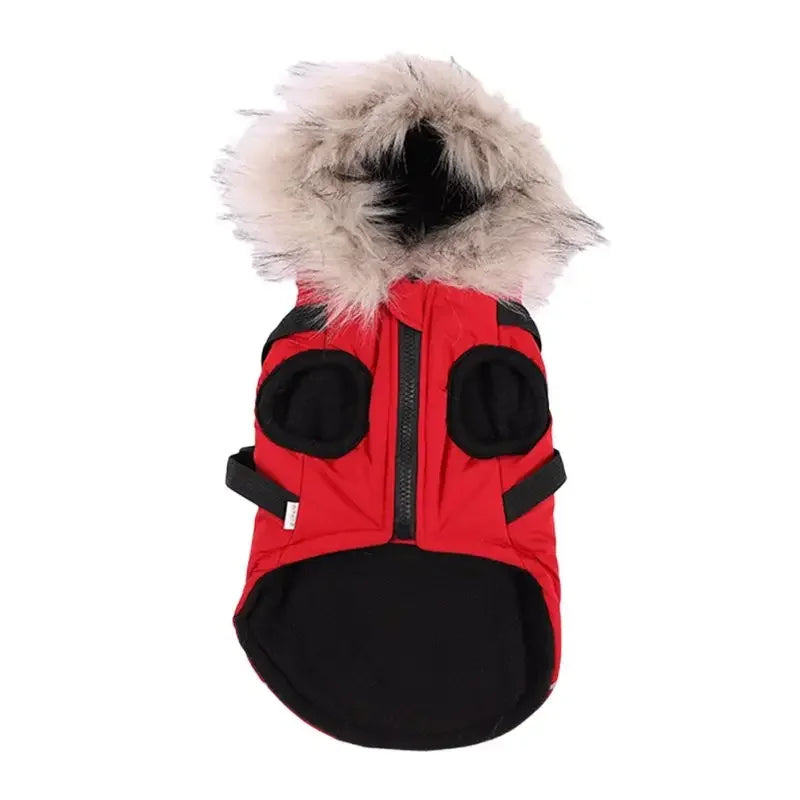 Winter Pet Dog Jacket With Harness