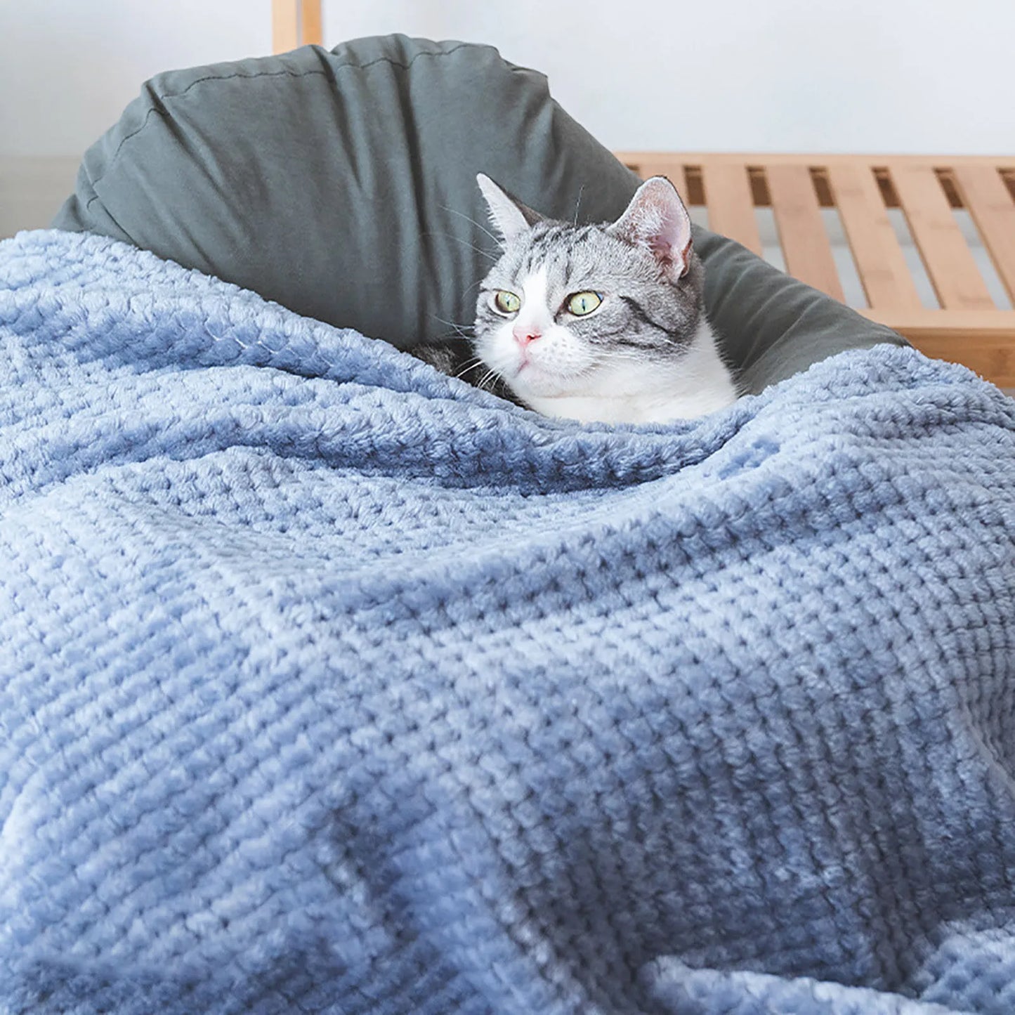 Soft Pet Blankets