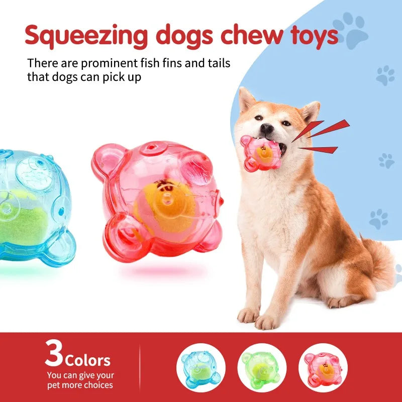 Dog Squeaky Interactive Toy