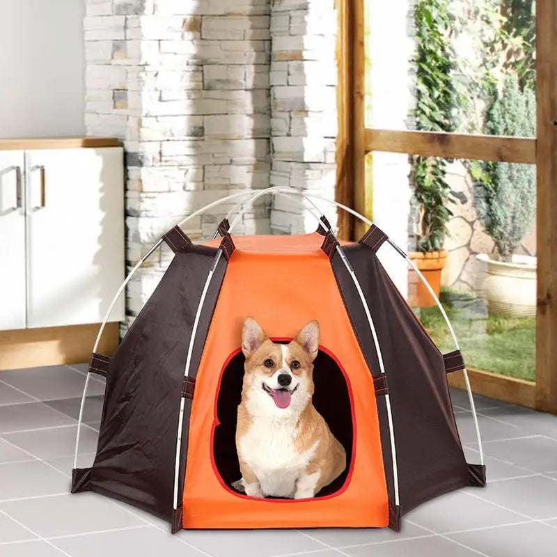 Tent For Dogs