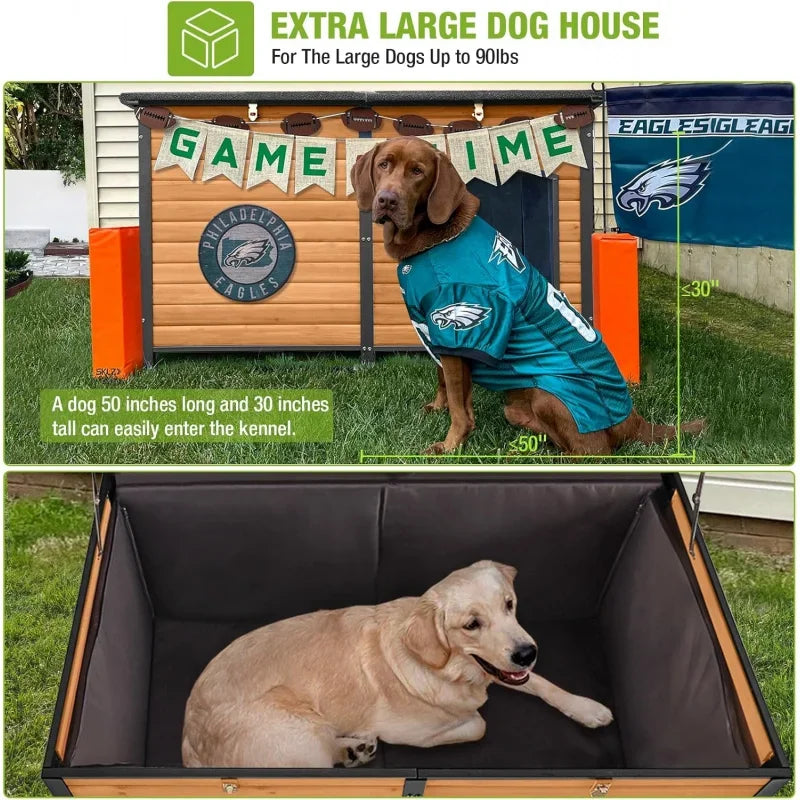 Outdoor Dog Kennel