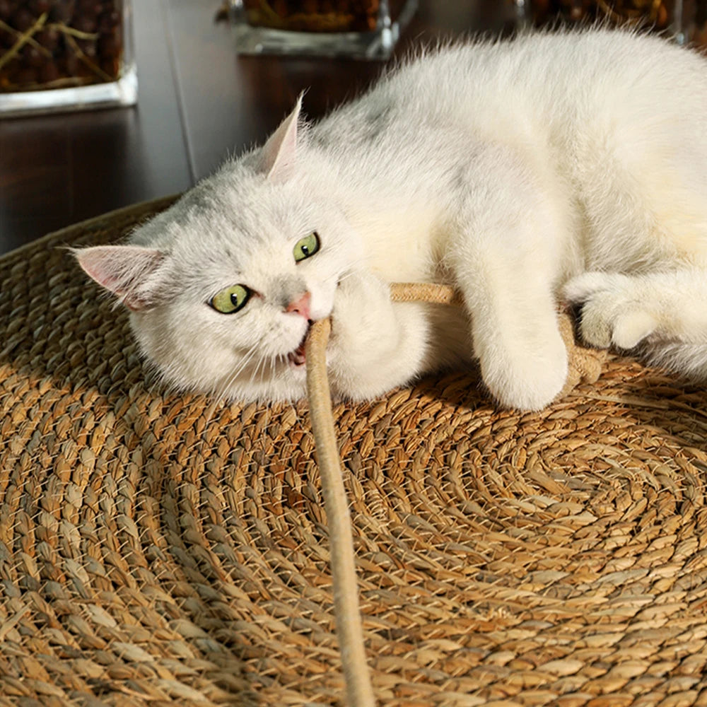 Couch Cat Scratcher Protection