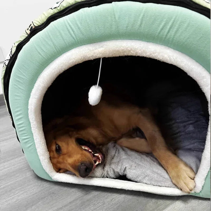 Big Dog Kennel