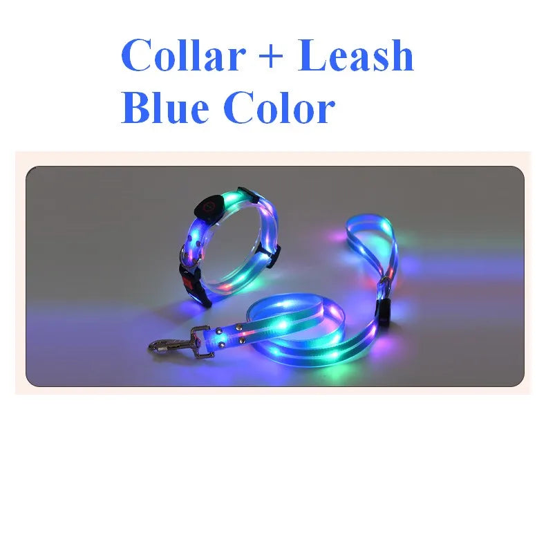 Pet Dog LED Light UP Leash USB Rechargeable