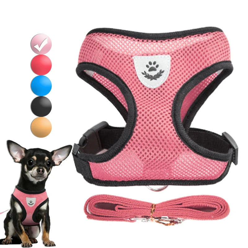 Dog Harness for Small Dogs and Cats