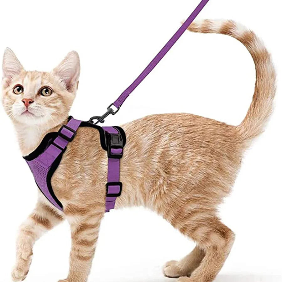 Cat Harness and Leash for Walking