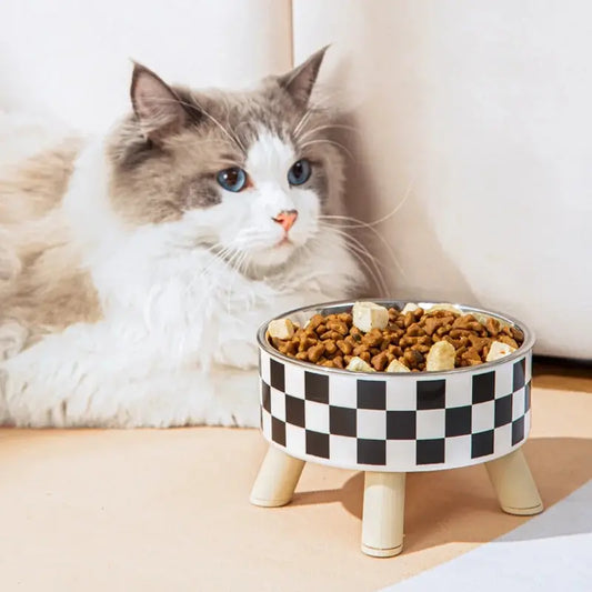 A Cat Bowl For Cats And Dogs