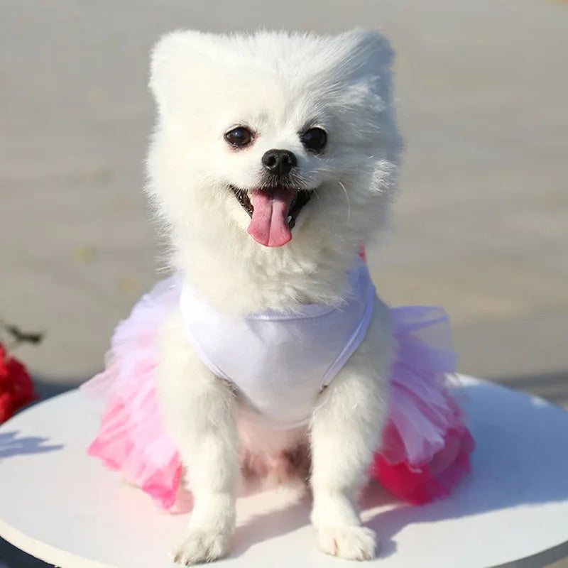 Sweet Dog Princess Dress for Small Dogs Lace Tutu Skirt