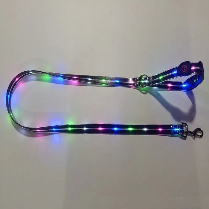 Pet Dog LED Light UP Leash USB Rechargeable