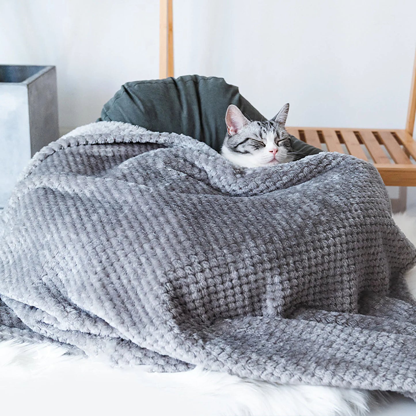 Soft Pet Blankets