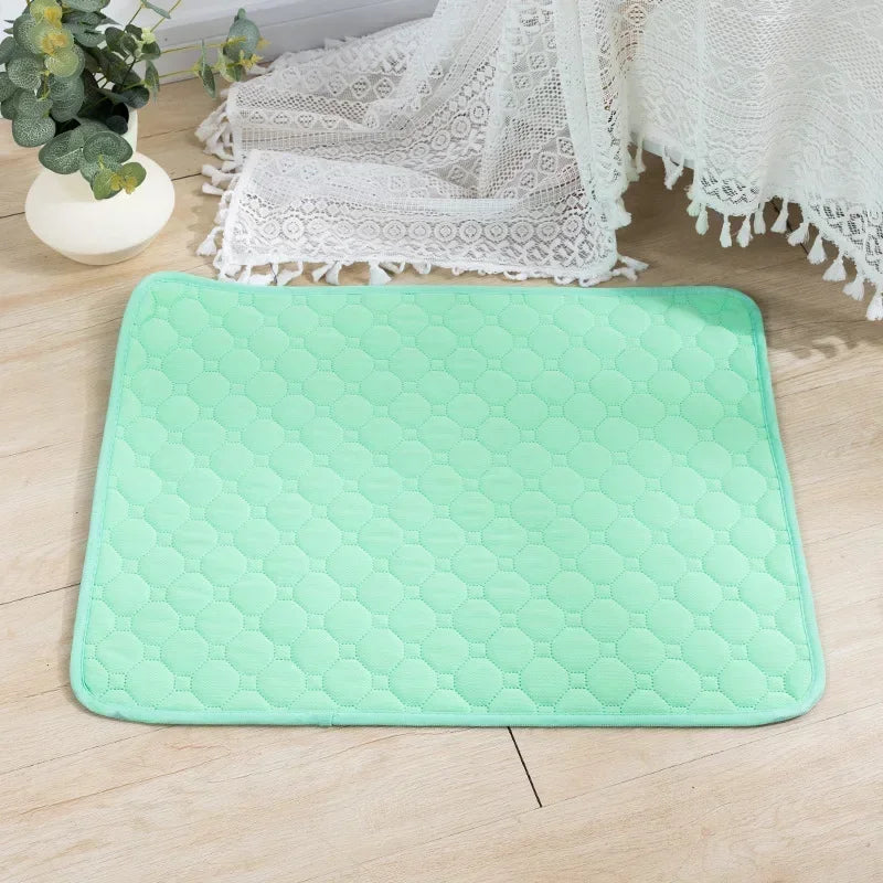 Reusable Dog Pee Pad Blanket