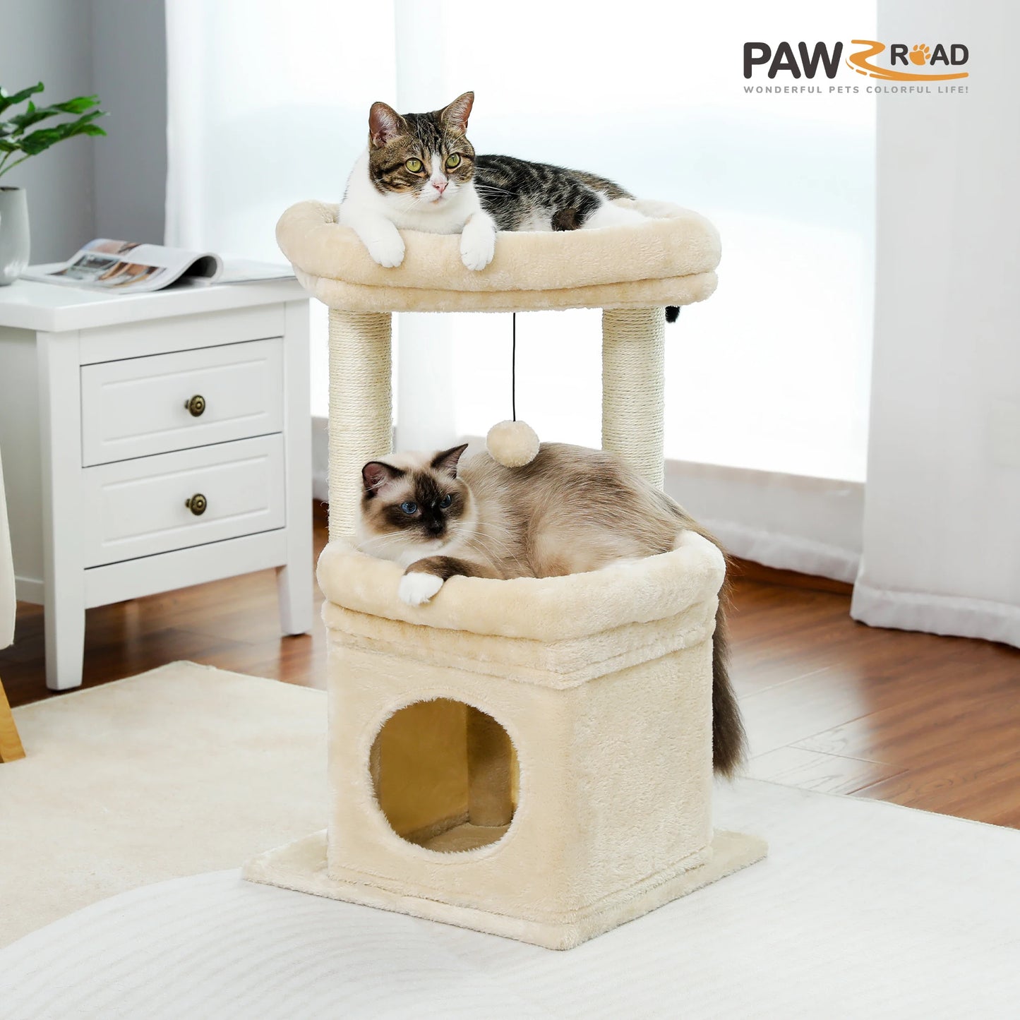 H68cm Small Cat Tree Condo