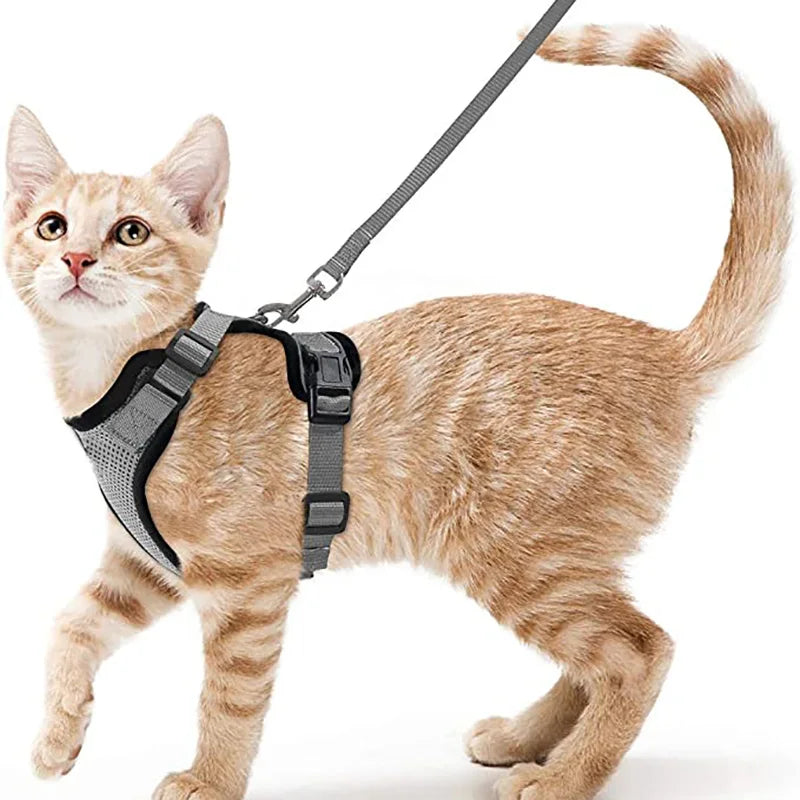 Cat Harness and Leash for Walking