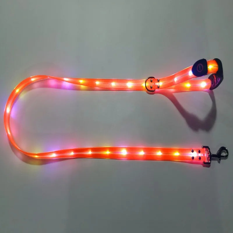 Pet Dog LED Light UP Leash USB Rechargeable