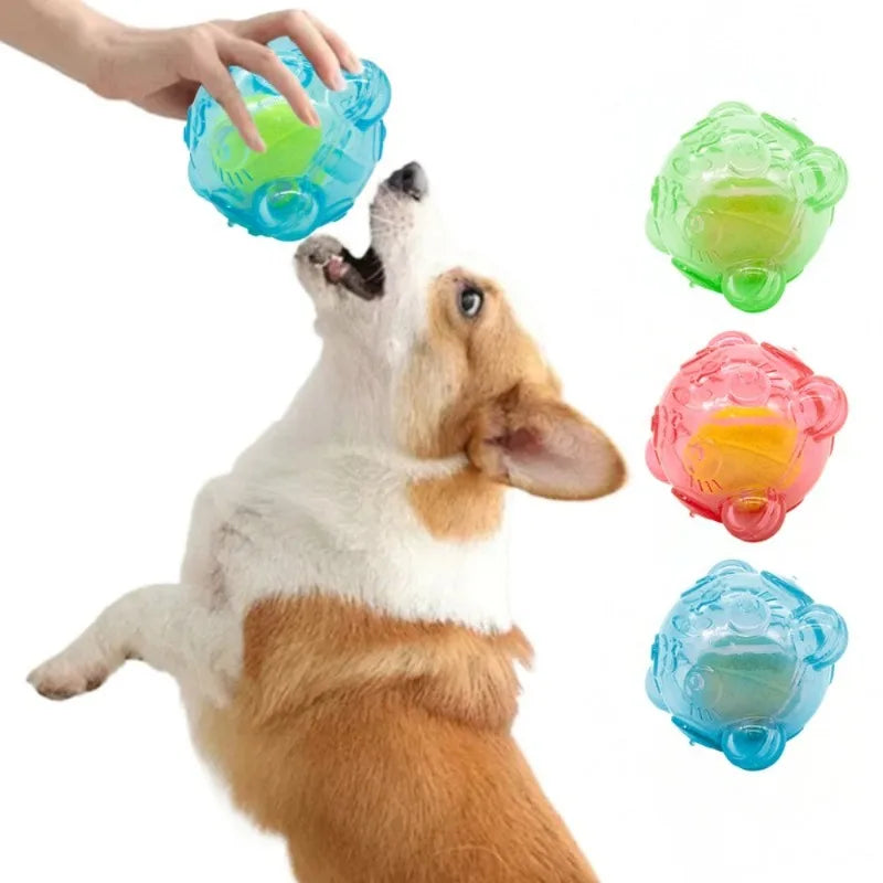 Pet Dog Toy Squeaky Interactive Tennis Ball Bear Head