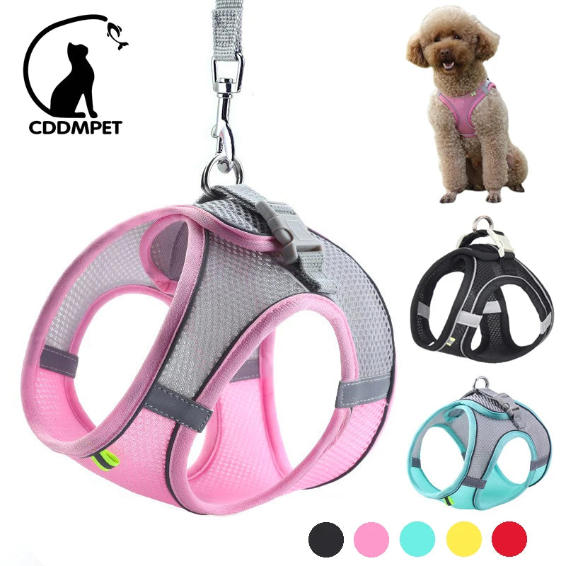 Dog Harness Leash Set for Small Dogs and Cats