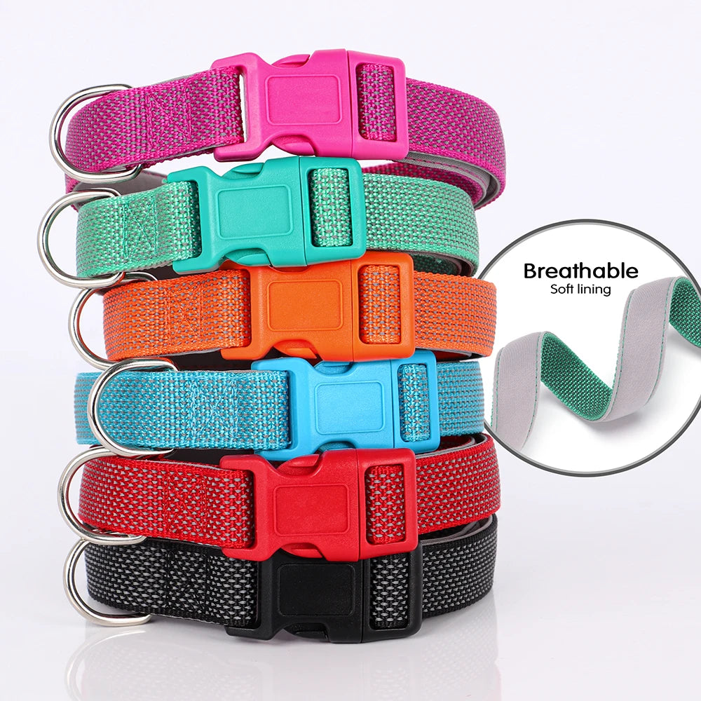 Reflective Nylon Dog Collar