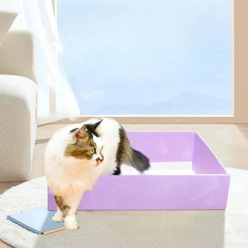 Disposable Cat litter box