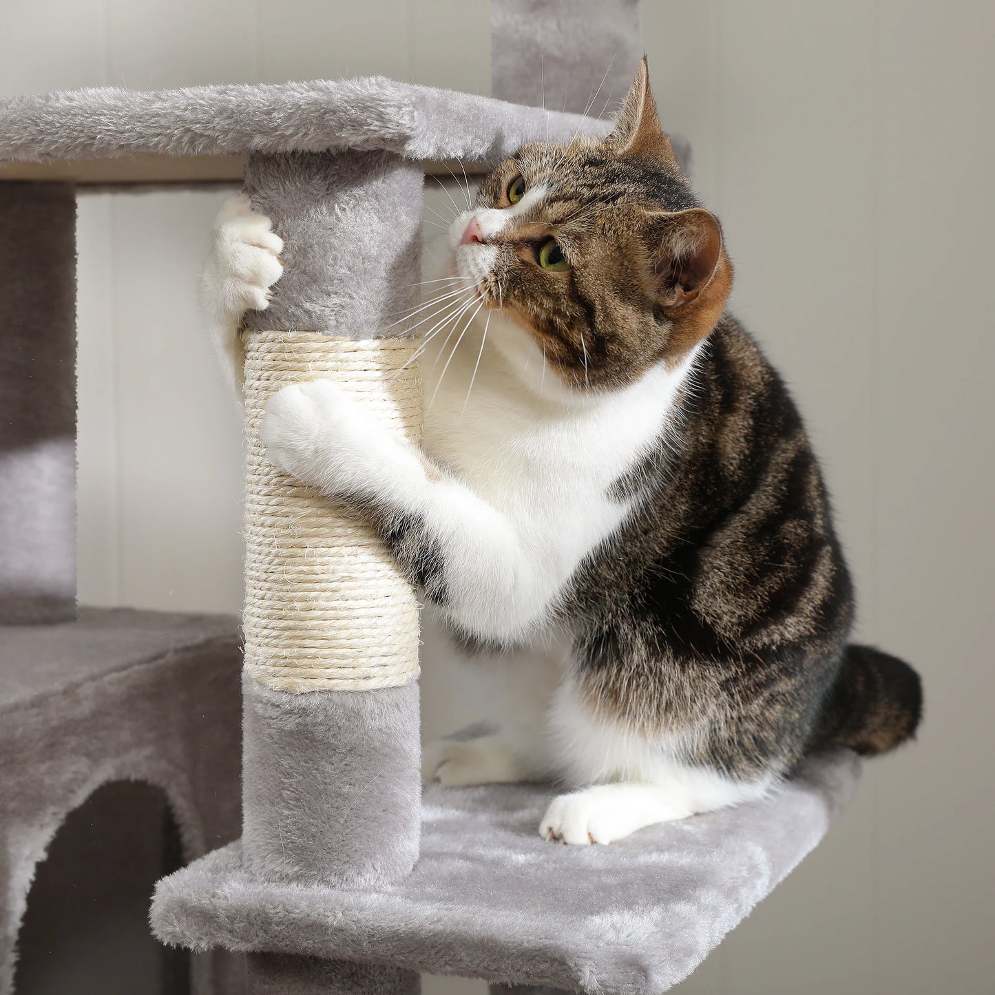 Cat Tree with Hammock Scratching Posts 2 Perches Large Condo