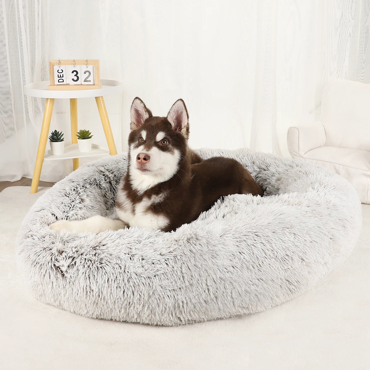 Plush Dog Bed