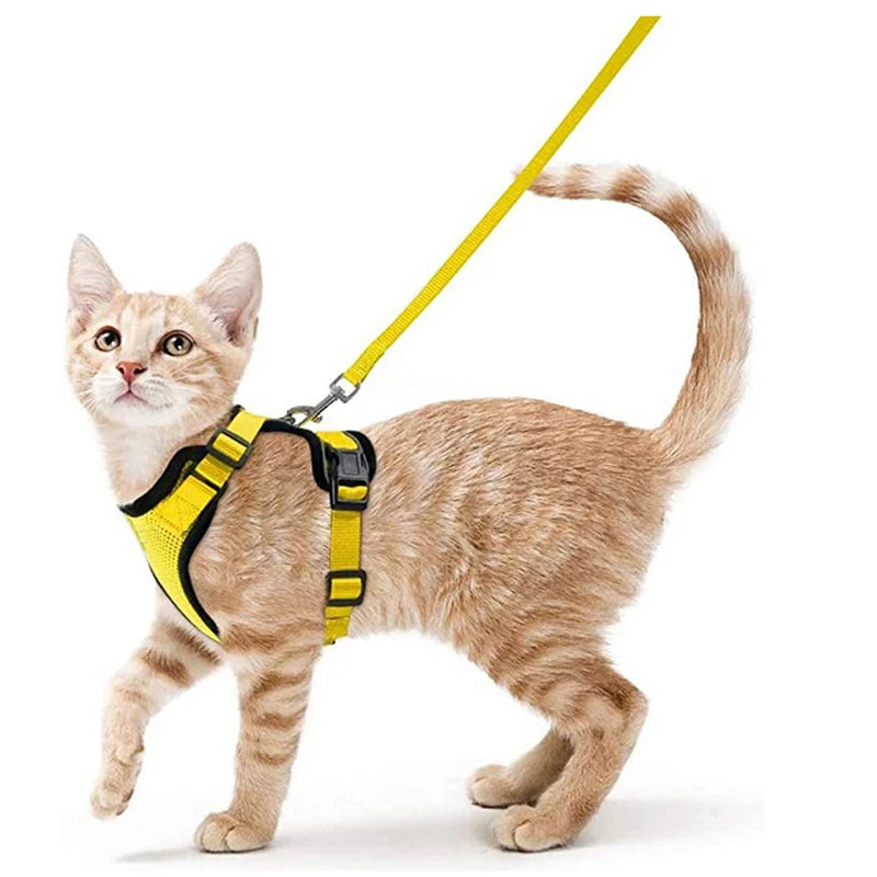 Cat Harness and Leash for Walking