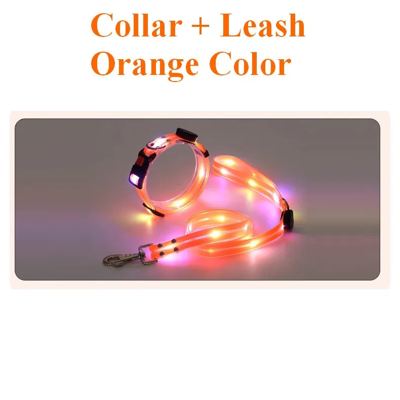 Pet Dog LED Light UP Leash USB Rechargeable