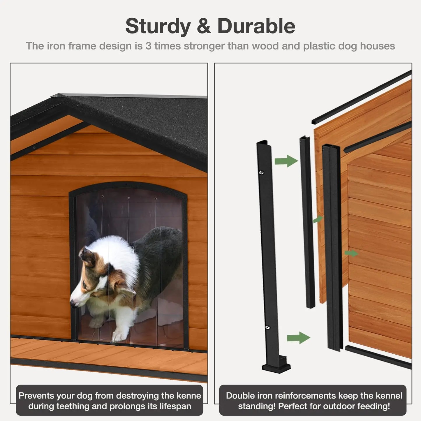 Insulated Dog House Outdoor