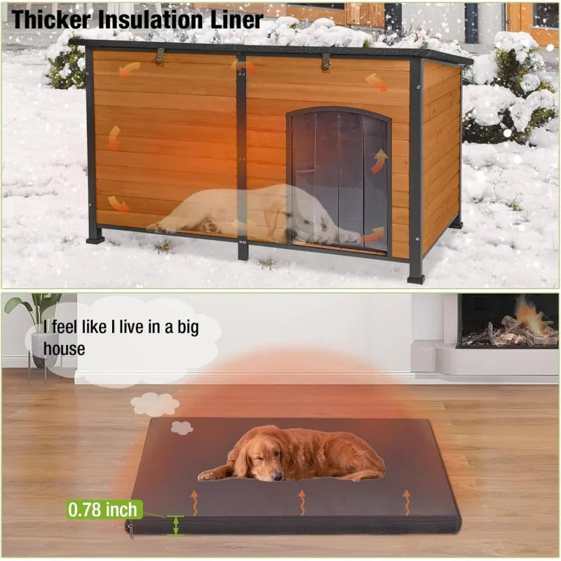 Outdoor Dog Kennel