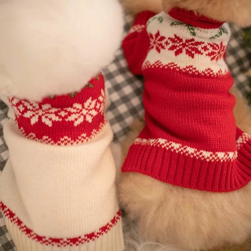 Dog Winter Clothes