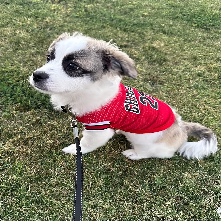 2pcs Chicago 23 Basketball-Inspired Dog Jerseys